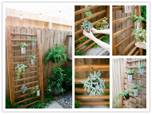 How to make DIY outdoor succulent wall