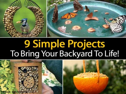 9 simple projects to bring your backyard to life