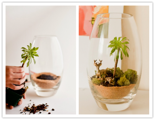 How to make DIY terrarium