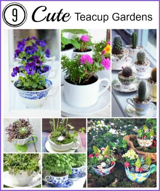 9 cute teacup garden ideas