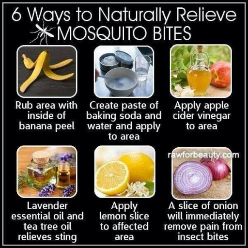 Home Remedies To Naturally Relieve Mosquito Bites