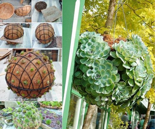 How To Make A DIY Succulent Hanging Kissing Ball
