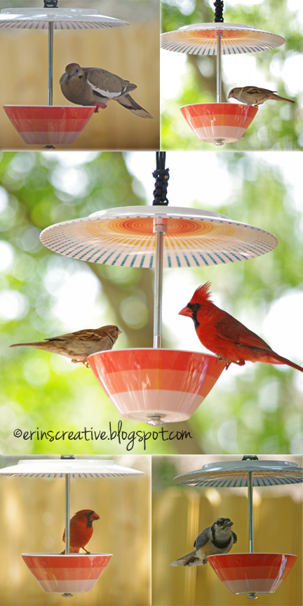 How To Make Lovely DIY Bird Feeder 1