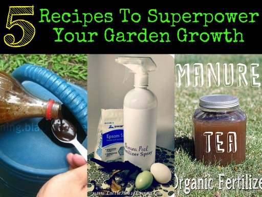 5 Recipes To Superpower Your Garden Growth
