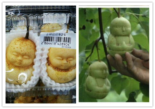 Eat A Baby Pear Can You OMG So Creepy