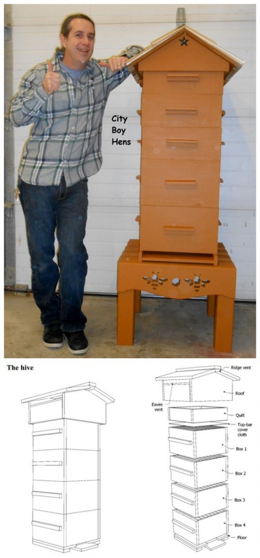 How To Build A DIY Honey Beehive Boxes 2