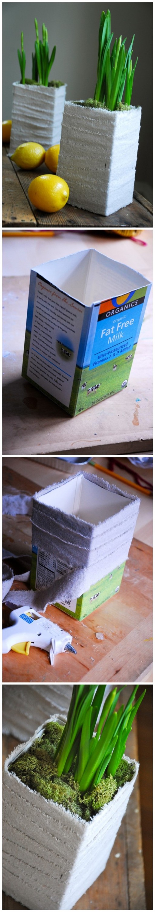 How To Turn Milk Carton Into Beautiful Planters