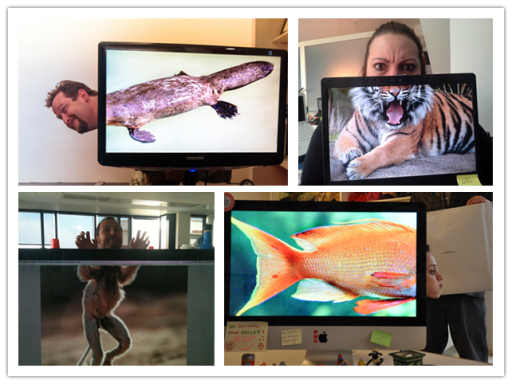 Fun DIY Desk Safari Photography Ideas 1