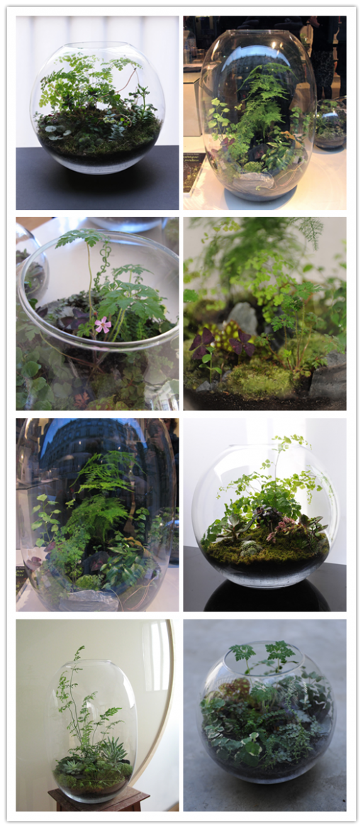 How To Make A DIY Glass Vessel Terrarium 1