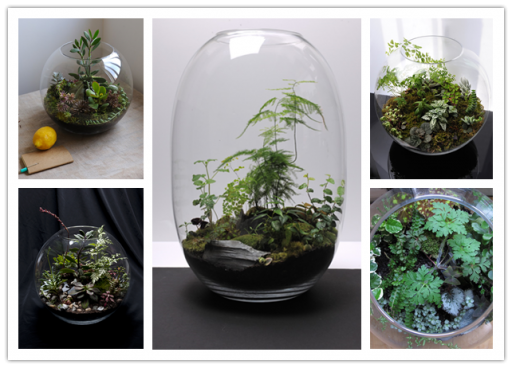How To Make A DIY Glass Vessel Terrarium 2