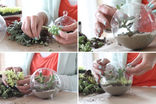 How To Make A DIY Glass Vessel Terrarium