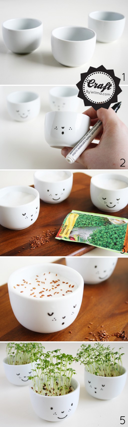 How To Make Cute Cress Cups With A Face 1