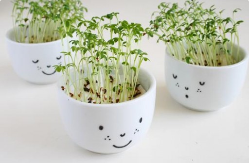 How To Make Cute Cress Cups With A Face