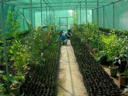 DIY Greenhouse Plans 9