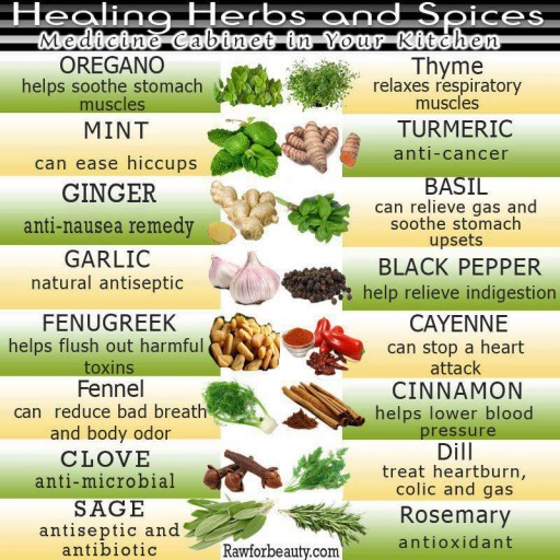 Healing Herbs And Spices - The Medicine Cabinet In Your Kitchen