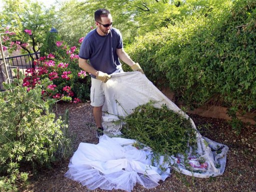 101 Uses For Ex-wife's Wedding Dress 18