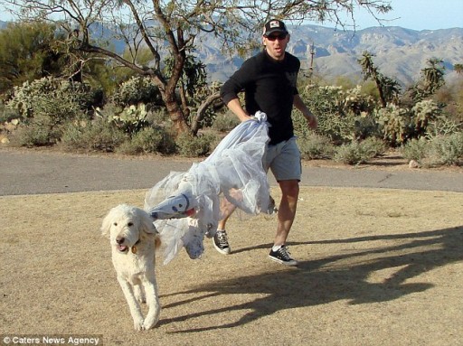101 Uses For Ex-wife's Wedding Dress 2