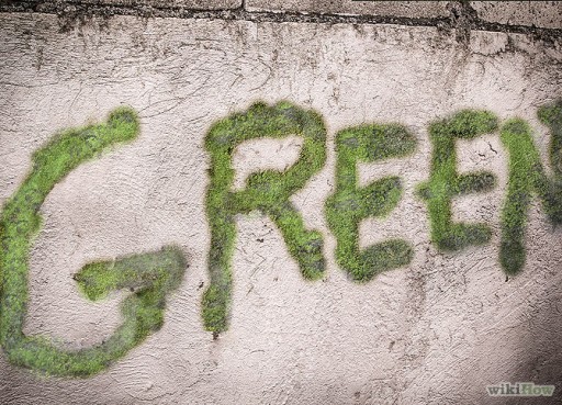 moss graffiti 1