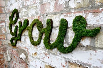 moss graffiti 3