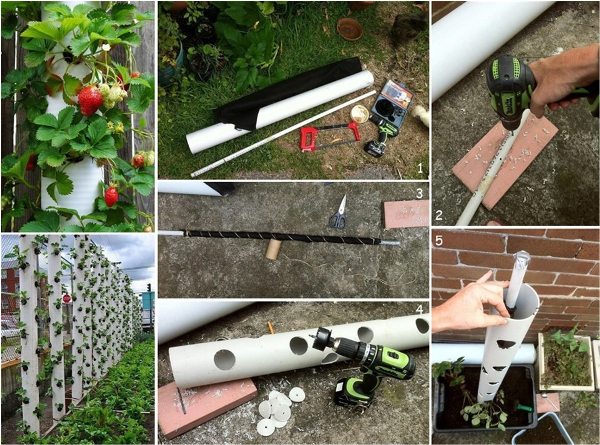 DIY PVC Tube Vertical Strawberry Planters