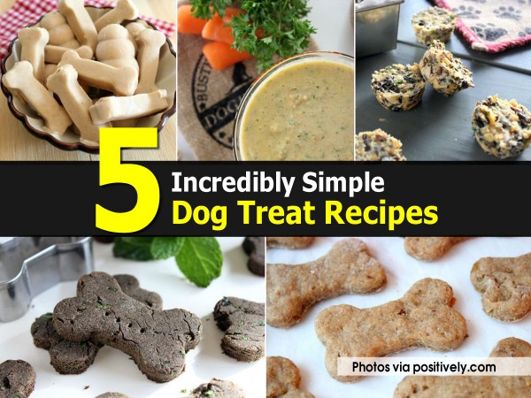 5 Simple Dog Treat Recipes