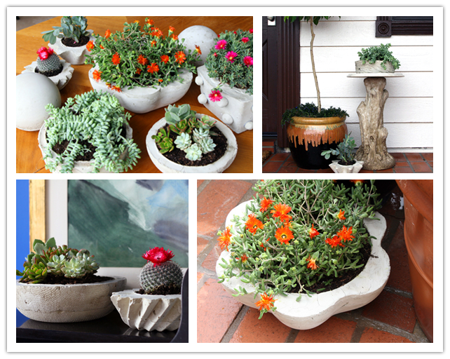 How to make DIY concrete planters DIY Tag