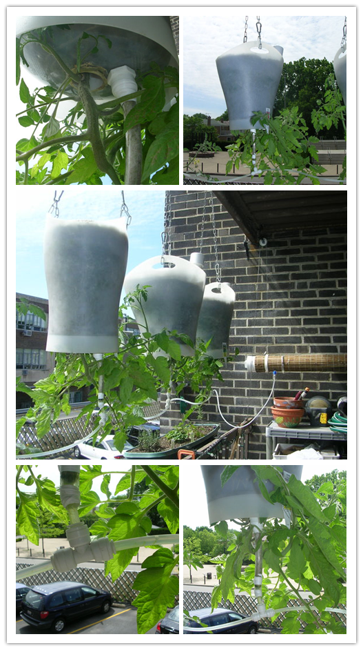 How To Make DIY UpsideDown SelfWatering Hanging Planters DIY Tag