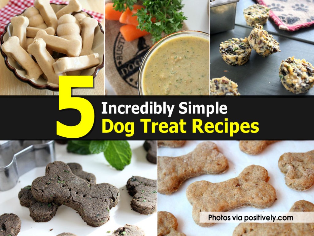 5 Simple Dog Treat Recipes DIY Tag
